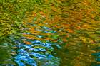 Water reflection, Furuichi Kofungun, water surrounding ancient burial mound, Habikino, Osaka, Japan Art Print